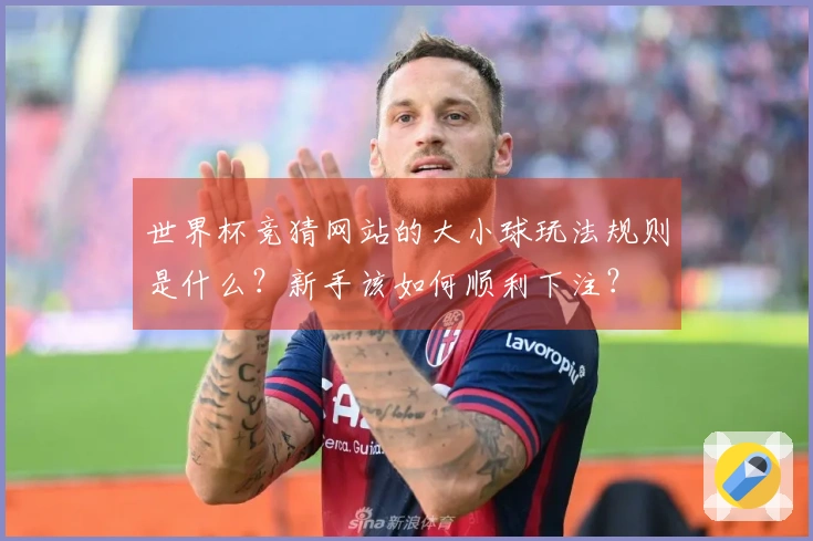 世界杯竞猜网站的大小球玩法规则是什么？新手该如何顺利下注？