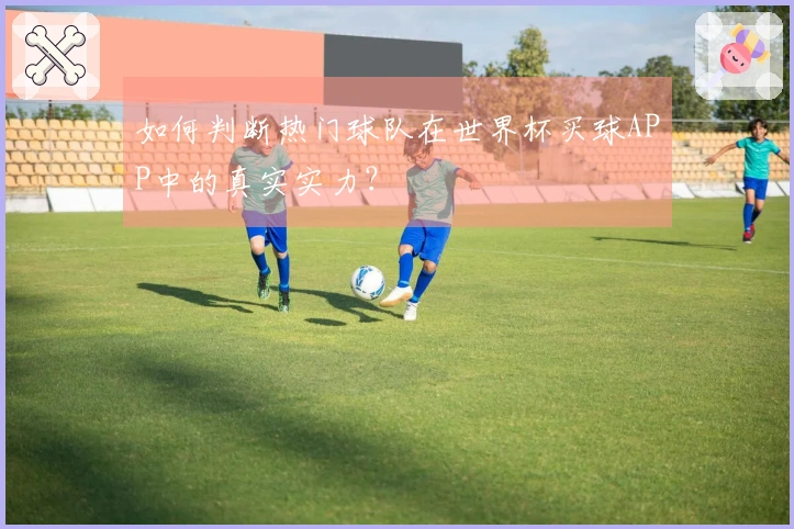 如何判断热门球队在世界杯买球APP中的真实实力？