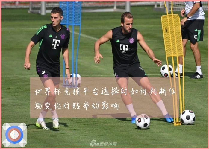 世界杯竞猜平台选择时如何判断临场变化对赔率的影响