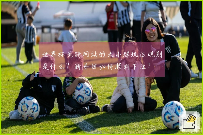 世界杯竞猜网站的大小球玩法规则是什么？新手该如何顺利下注？