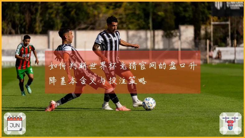 如何判断世界杯竞猜官网的盘口升降基本含义与投注策略