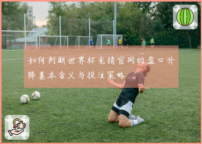 如何判断世界杯竞猜官网的盘口升降基本含义与投注策略